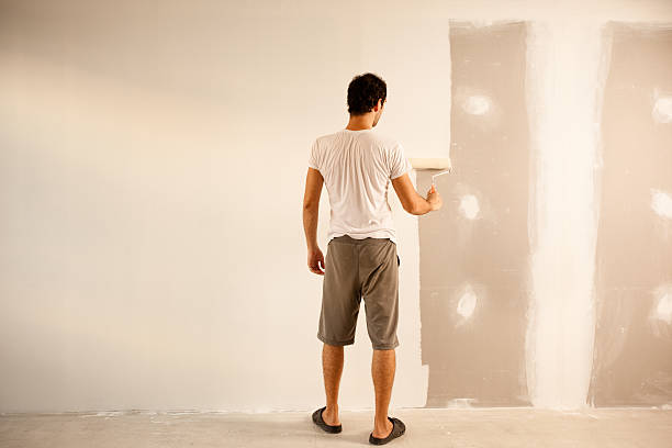 Professional Dry wall and painting in Lockport, IL